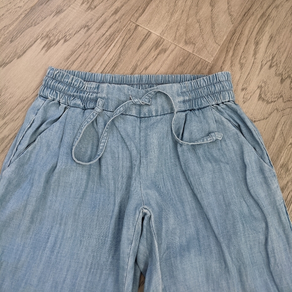Aritzia Chambray Drawstring Jogger Pants - Picture 4 of 8